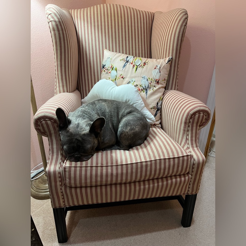 Meet your Posher, Mia - Picture 16 of 16